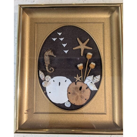 Sand Dollar Nautical Shell Art Betty Shepard Shadow Box Frame Seahorse & Starfis - Picture 2 of 11